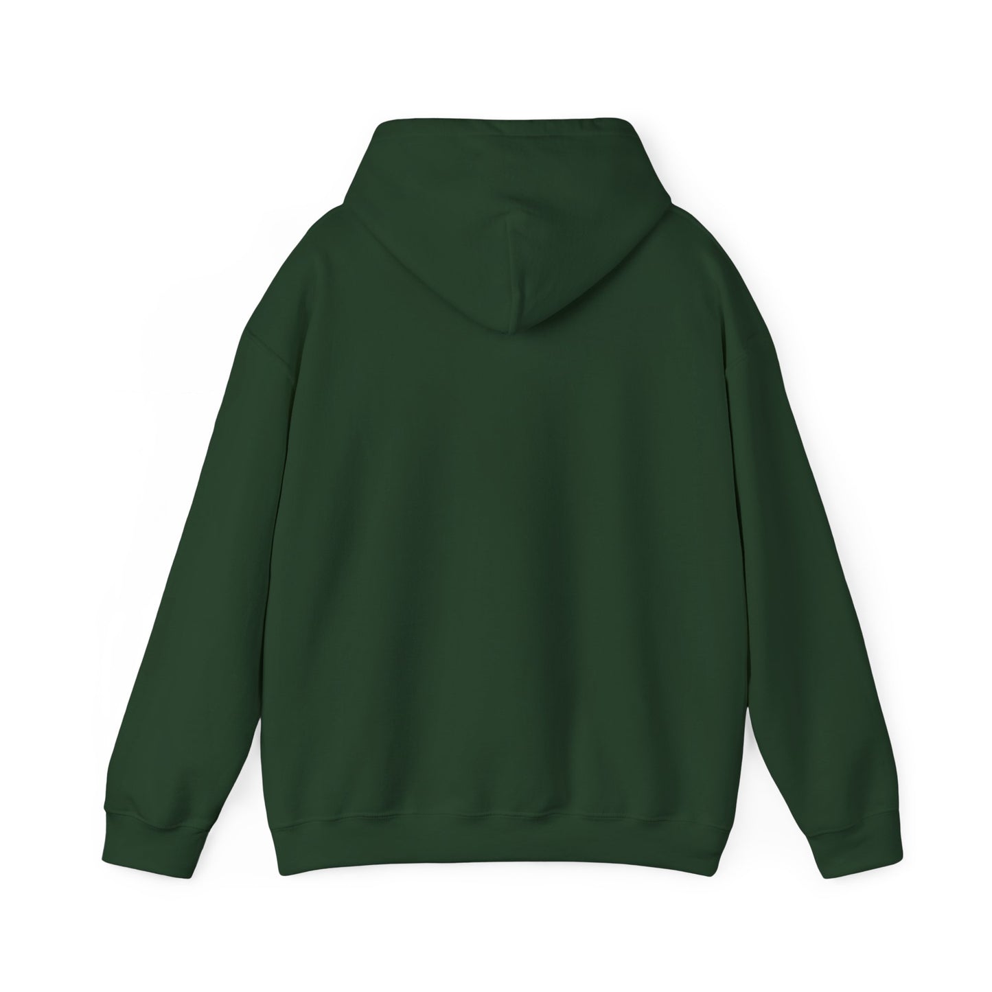Inspirational Unisex Hoodie - "Vibe With Abundance"