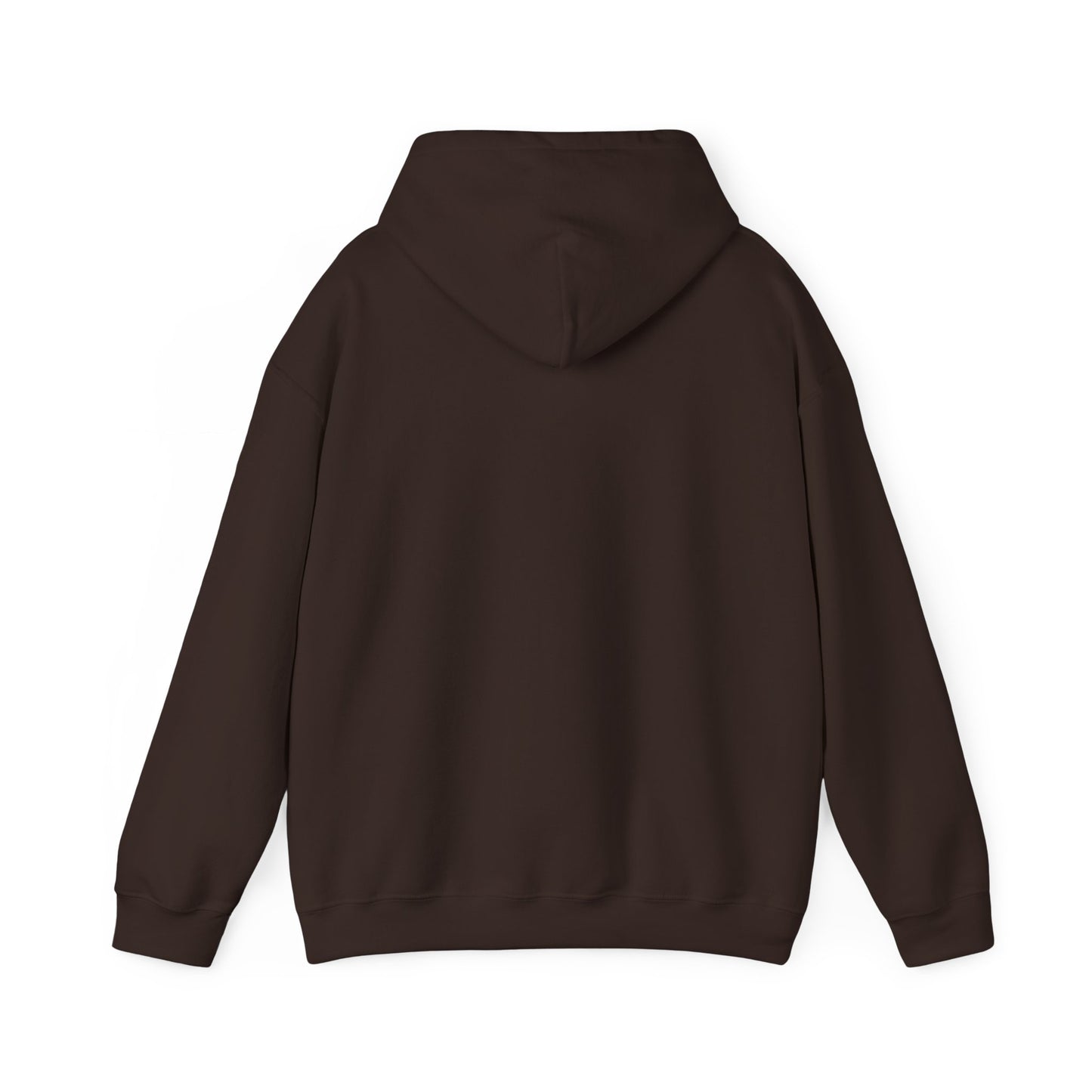 Inspirational Unisex Hoodie - "Vibe With Abundance"