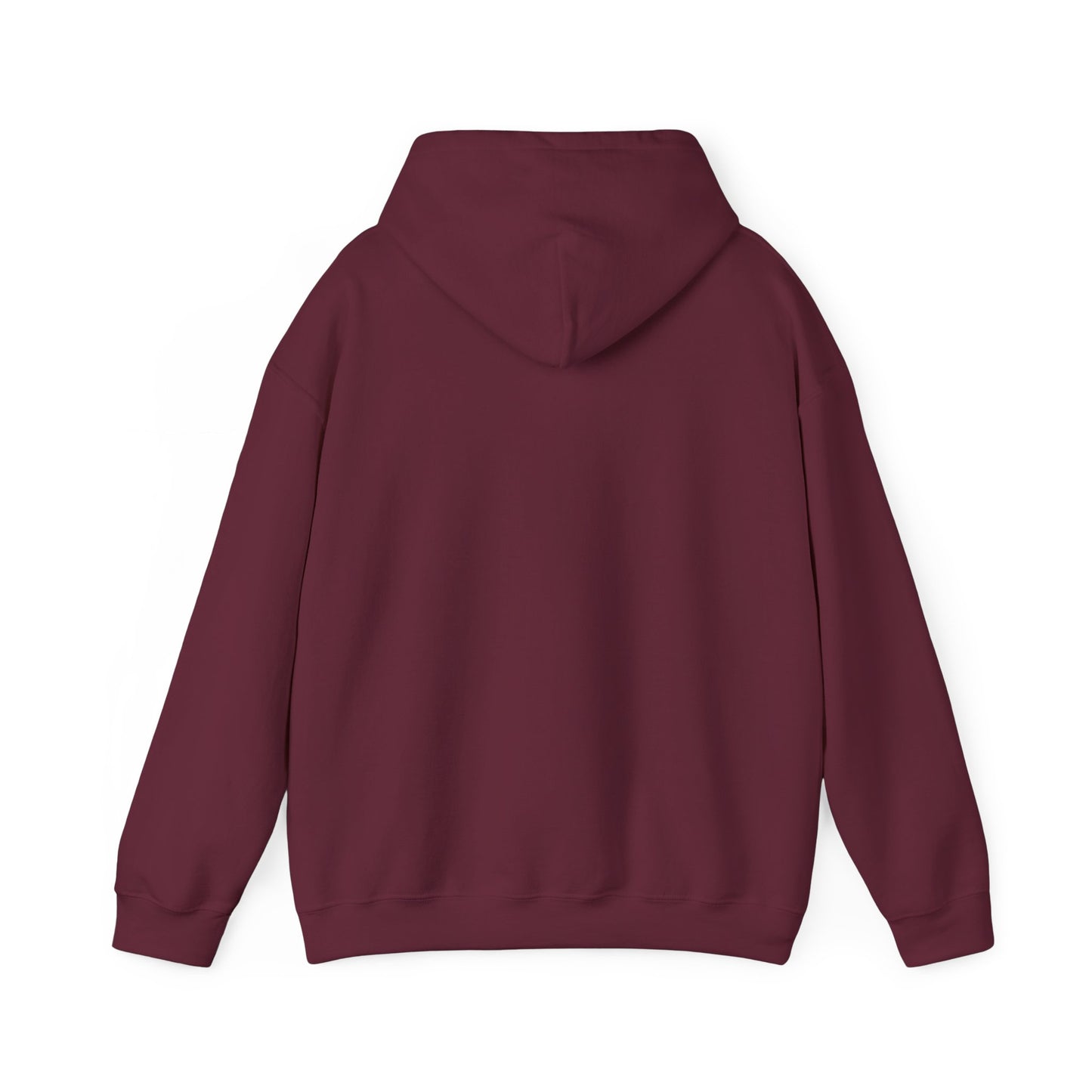 Inspirational Unisex Hoodie - "Vibe With Abundance"